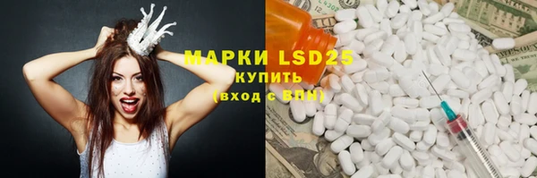 хмурый Магас