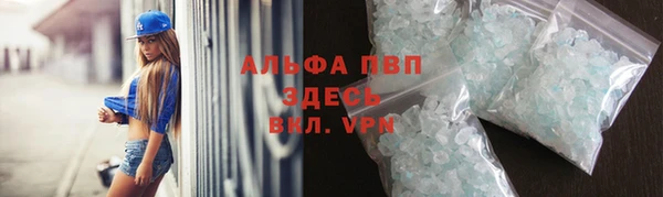 хмурый Магас