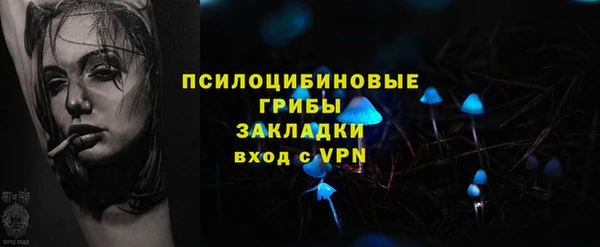 прущий лед Липки