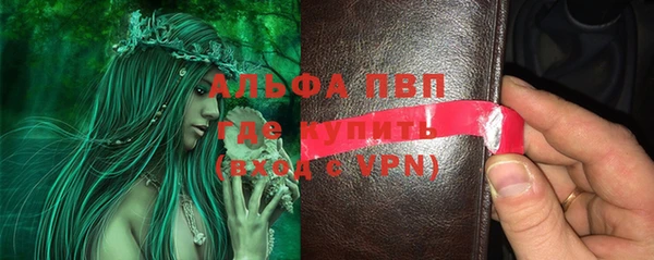 хмурый Магас