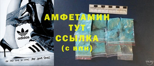 хмурый Магас