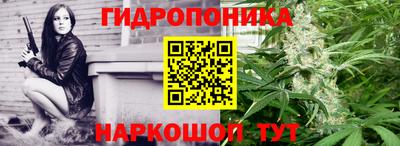 дживик Берёзовский