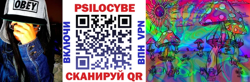 Галлюциногенные грибы Psilocybe  купить  сайты  Санкт-Петербург 